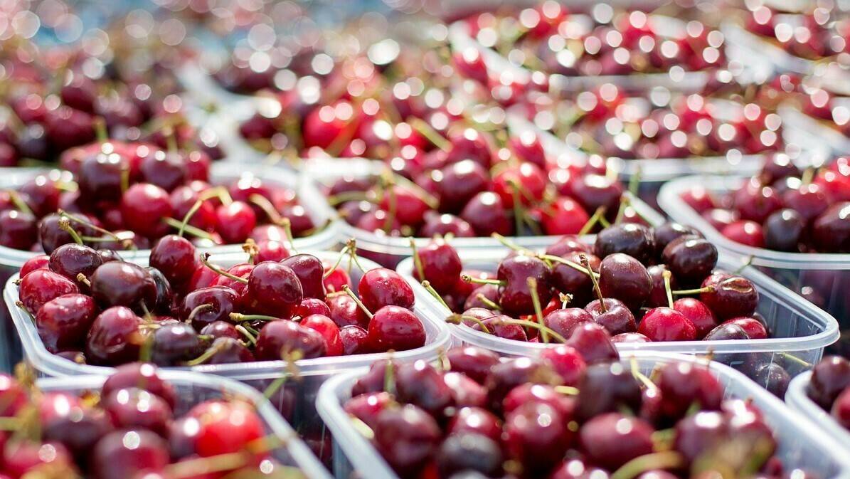 Europa y su hortofruta su alarma por el Covid 19|Alimentamos Unidos RZ